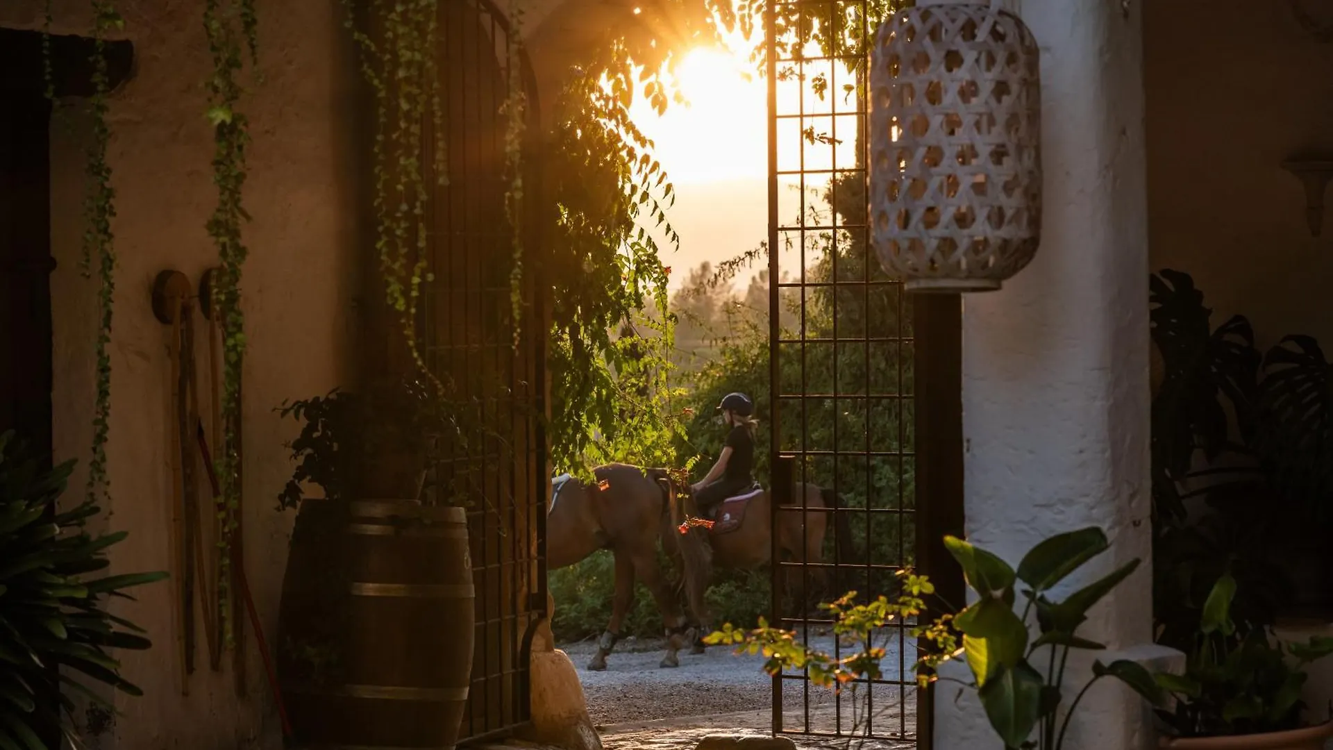 Agroturismo Son Boronat Calvia  Hotel Calvia (Mallorca)
