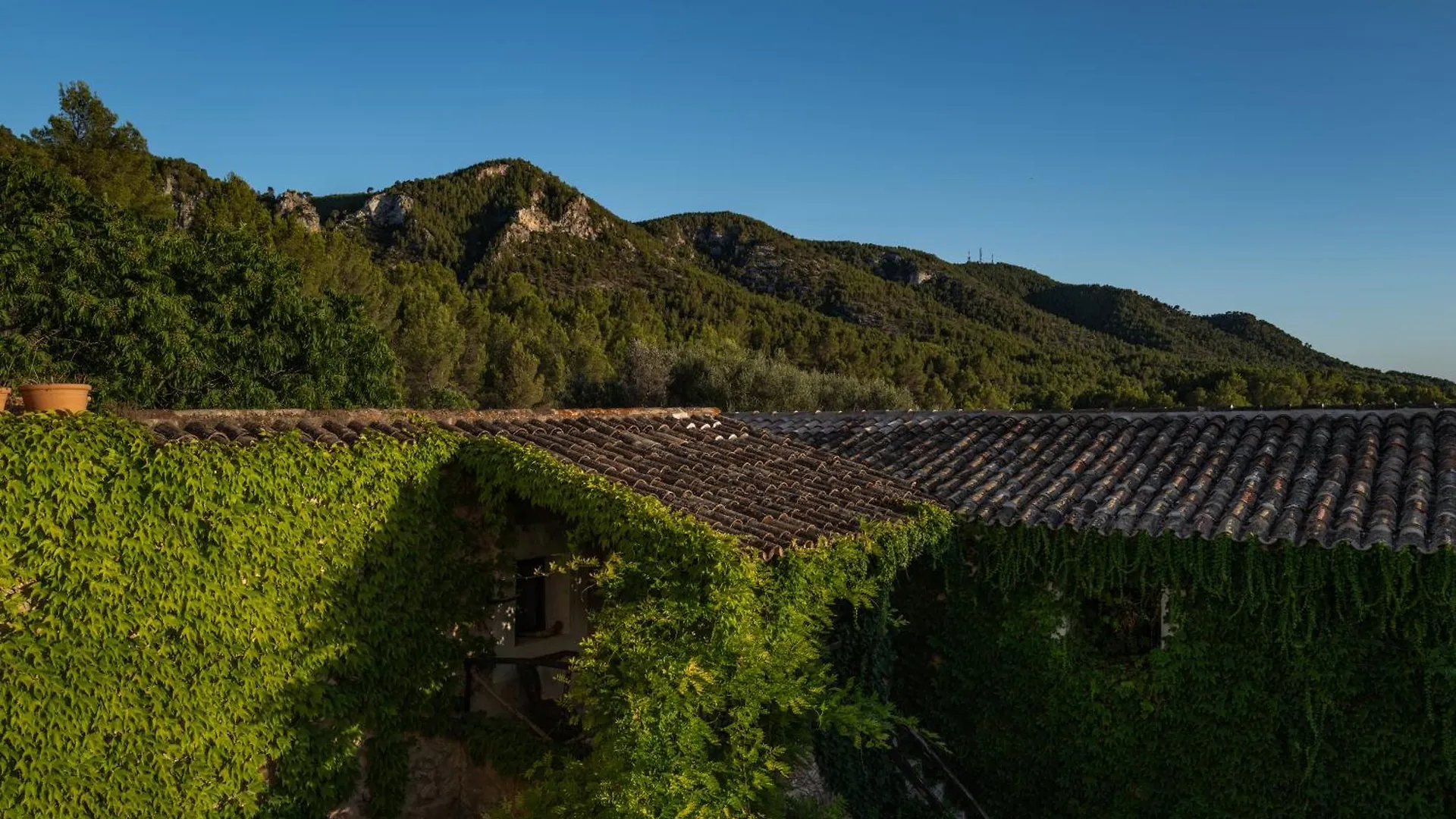 Agroturismo Son Boronat Calvia  Spanje